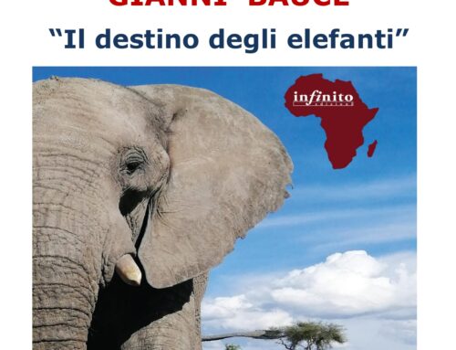 Presentazione di “Il destino degli elefanti ” di e con Gianni Bauce , venerdì 5 aprile h 20,30 al Museo Africano